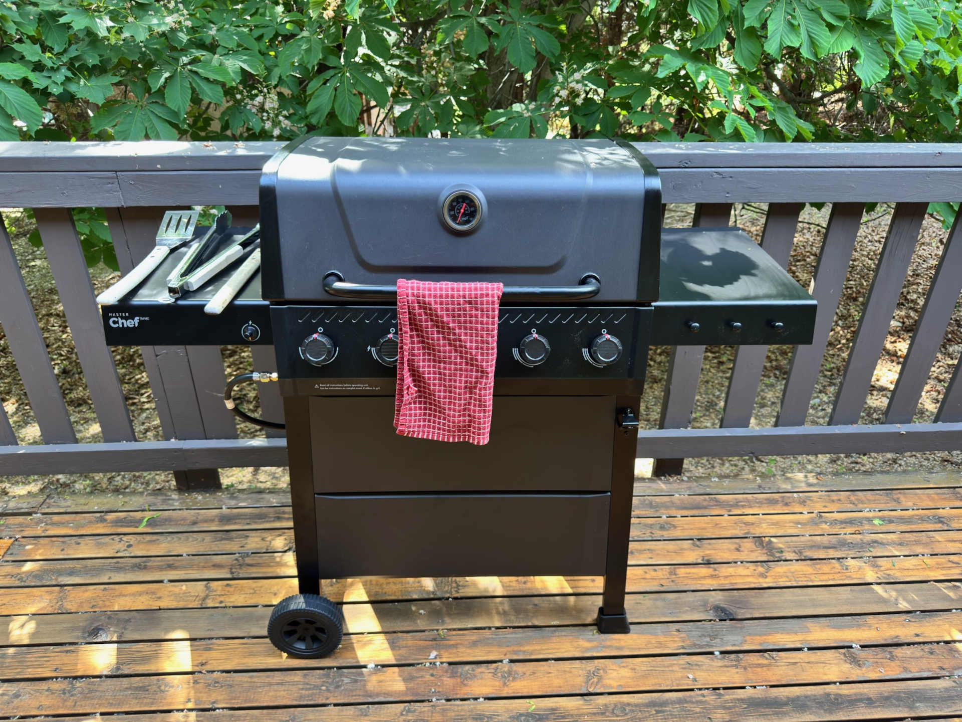 BBQ